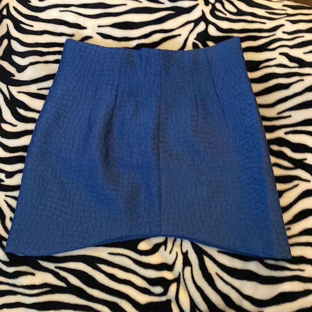 Zara Skirt